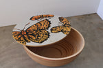 'Orange Butterflies' Hand painted Mini egg coffee table. #308